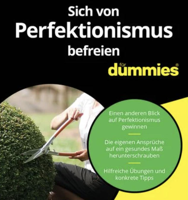 Perfektionismus für Dummies