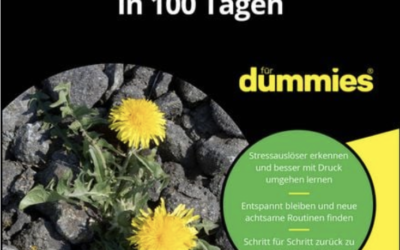 Gelassener im Stress in 100 Tagen für Dummies