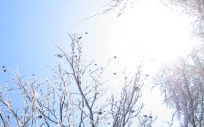 Kurzgeschichte | Tauwetter